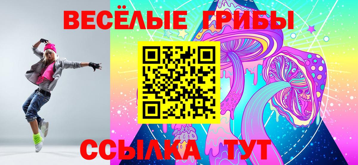 Псилоцибиновые грибы Psilocybe Якутск