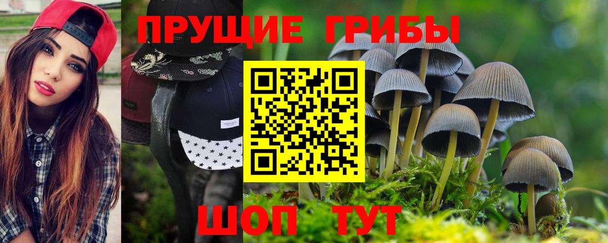 Якутск  Псилоцибиновые грибы Magic Shrooms  Вход с VPN 